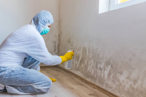 Hvac And Air Duct Mold Remediation inspection of HVAC system in Wylie