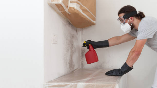 Attic Mold Remediation treatment on roof deck in Wylie